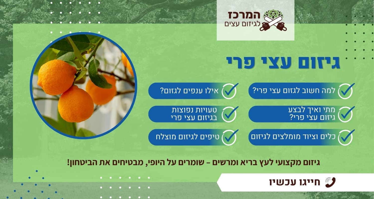 גיזום עצי פרי