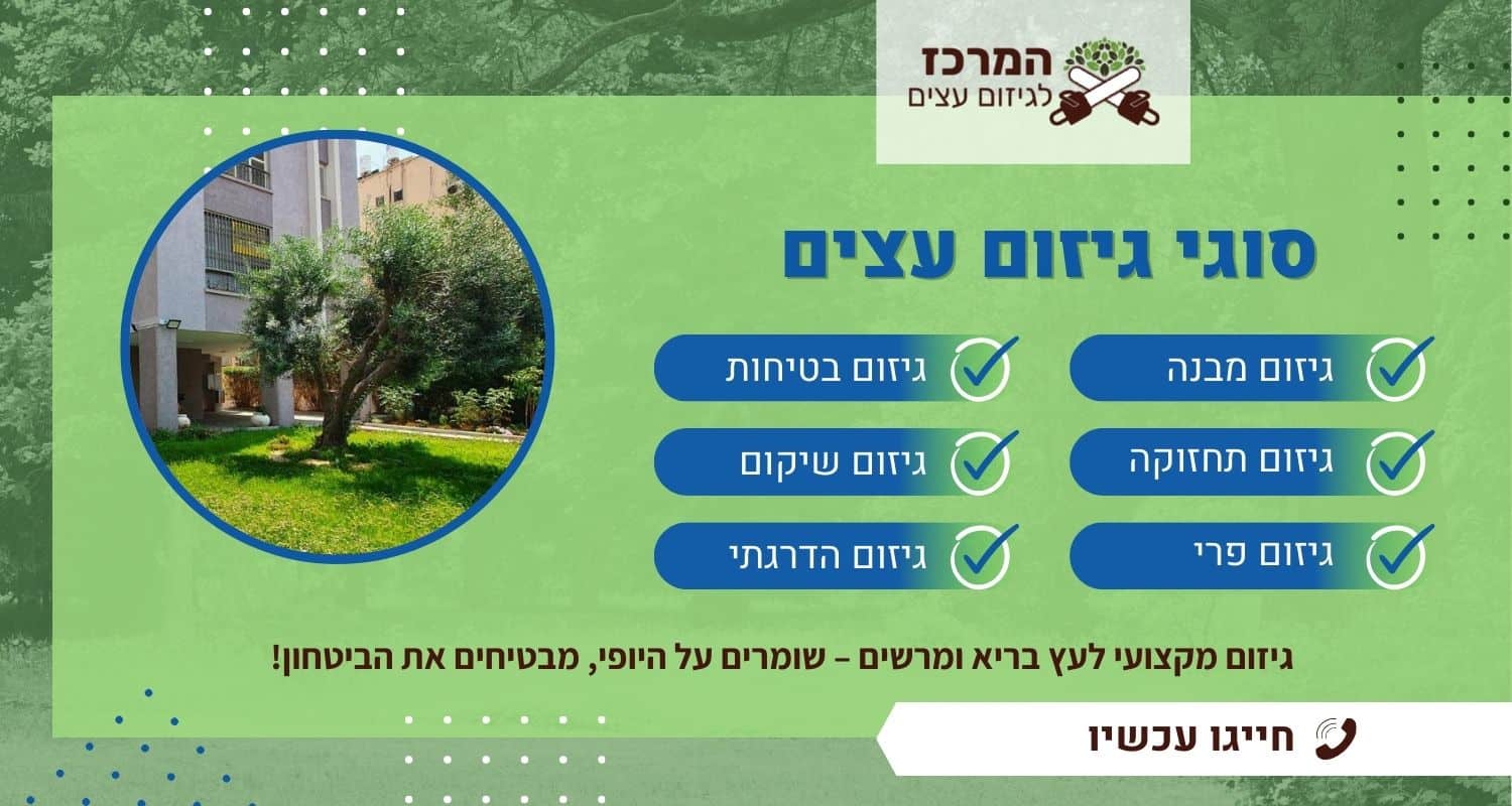 סוגי גיזום עצים