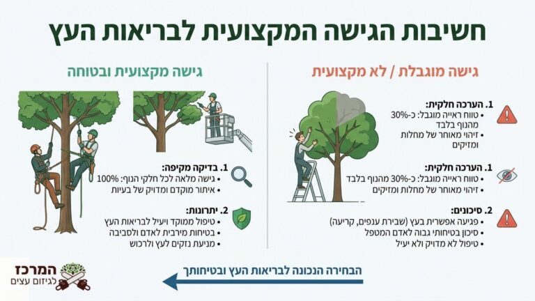 גוזם עצים מקצועי מטפס על עץ גבוה עם ציוד בטיחות מלא
