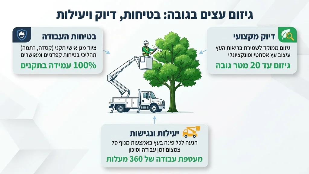 עבודה בגובה עם מנוף סל לגיזום עצים