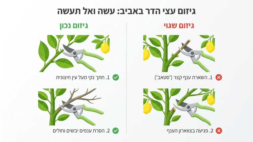 גיזום עצי פרי הדר בגינה באמצעות כלי עבודה מקצועיים
