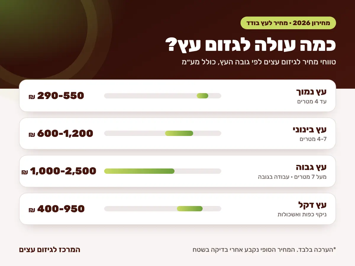 מחירון גיזום עצים 2026 – מחיר גיזום עץ לפי גובה העץ