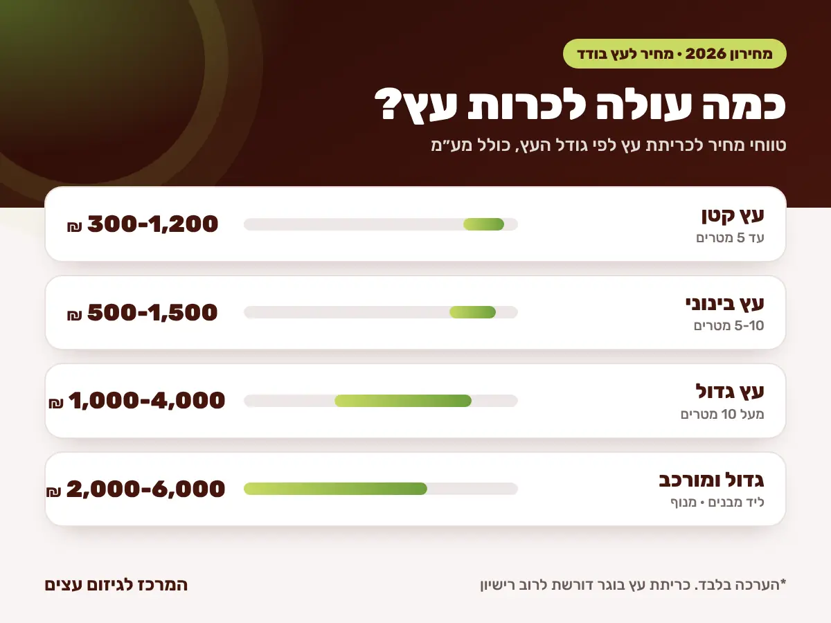 מחירון כריתת עצים 2026 – מחיר כריתת עץ לפי גודל העץ