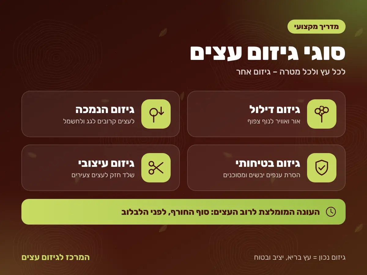 סוגי גיזום עצים – דילול, הנמכה, גיזום בטיחותי וגיזום עיצובי